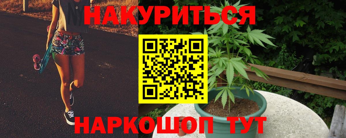 Бошки марихуана гибрид  Вход с VPN  Карталы  Шишки марихуана семена  Каннабис планчик 